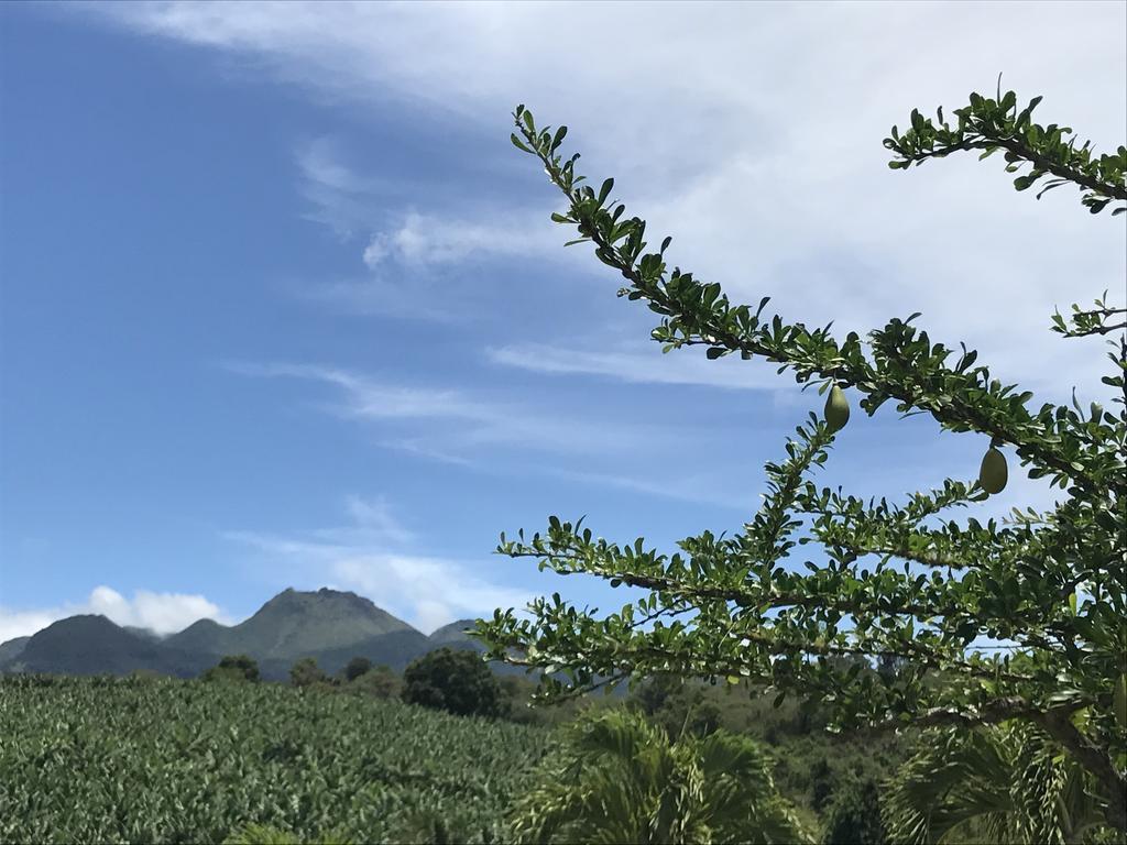 Residence Paradis Tropical Бас-Тер Экстерьер фото